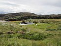 2014.08.21 Schottland - Stonechats Croft bei Ron in Sutherland (3001)